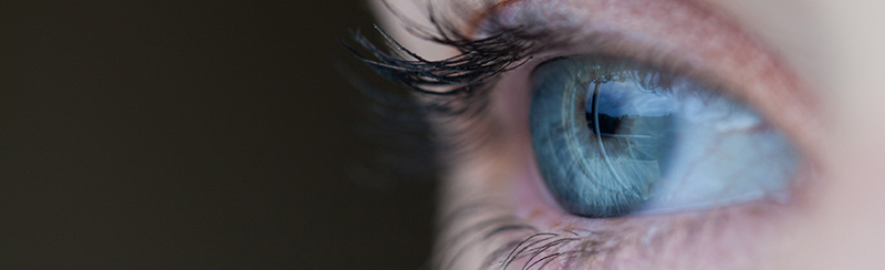 ���C���C���[�W�摜